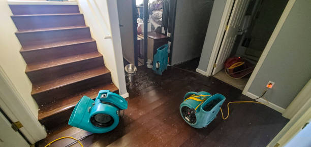 Best Commercial water damage restoration  in Lancaster, TX