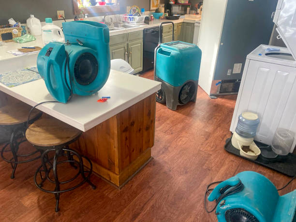 Best Water damage contractors near me  in Lancaster, TX
