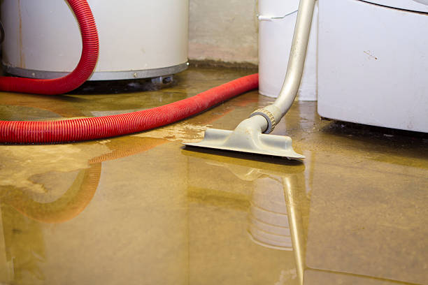 Best Flood damage cleanup  in Lancaster, TX