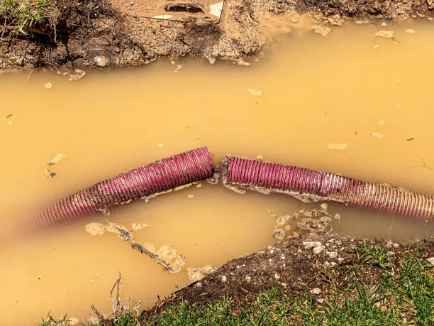 Trusted Lancaster, TX Water damage restoration Experts